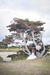 Trash the dress